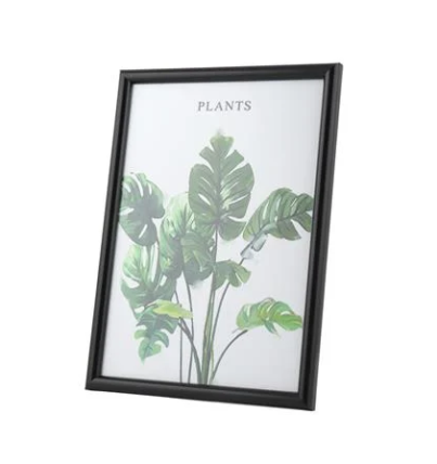 01062023_1171178$Imagec2