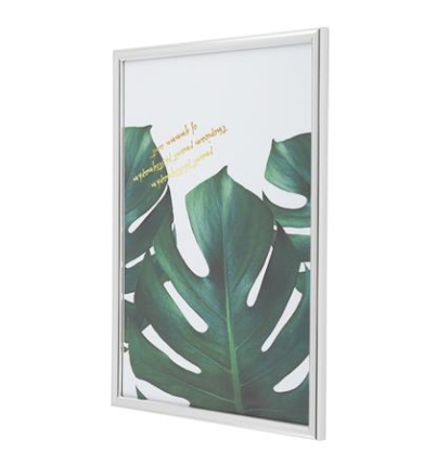 26122024_1172027$Imagec2