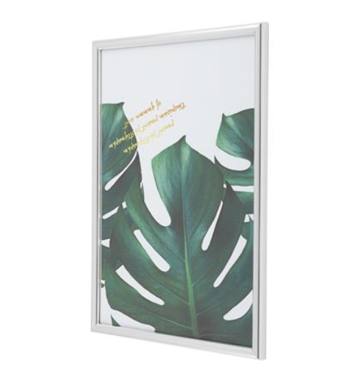 26122024_1172027$Imagec2