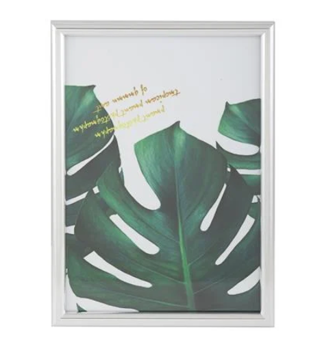 26122024_1172081$Imagec1