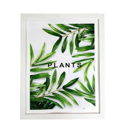 27012025_1231214$Imagec1