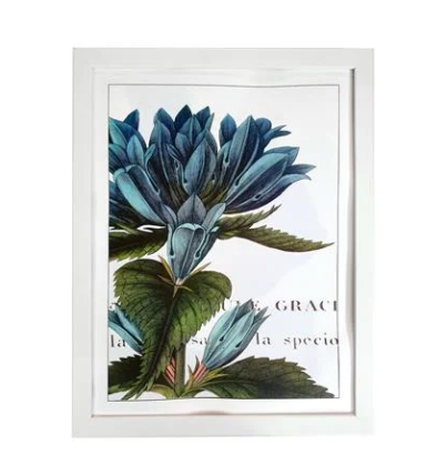 30012025_1231209$Imagec1