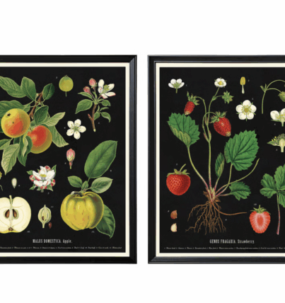 Screenshot 2568-07-13 at 13.00.29