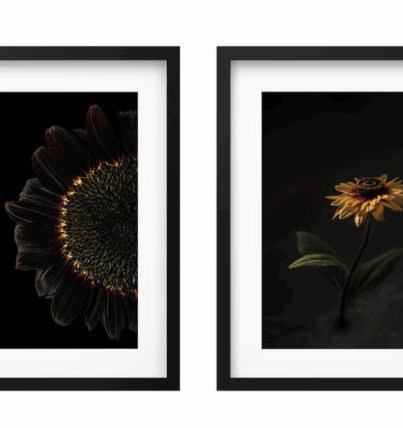 Screenshot 2568-07-13 at 13.11.22